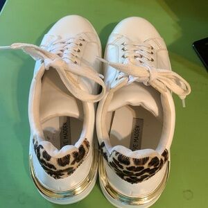 Steve madden sneakers for women